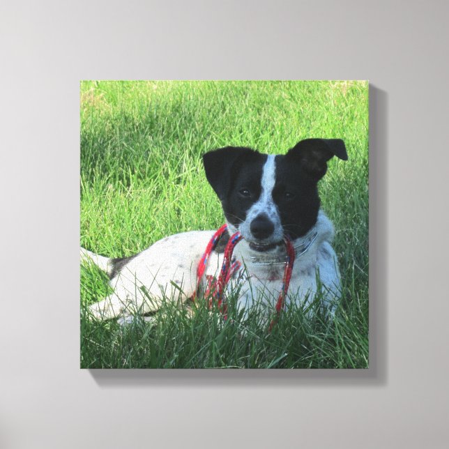 Yahtzee Der Hund mit Leash Canvas Print Leinwanddruck (Vorderseite)