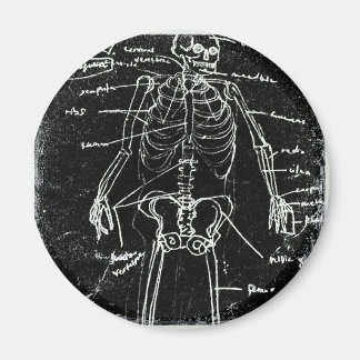 Yaie Tokyo Human Skeleton Anatomy Magnet