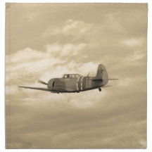 Yak 11 im Flug