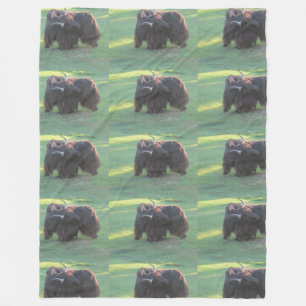 Yak Fleecedecke