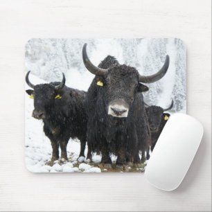 Yak Mousepad