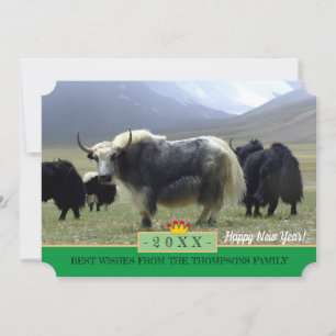 Yaks et bonne année ! Carte /Himalayas, Tibet