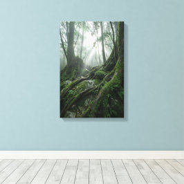 Yakushima 'Breath of Life' | Ancient Biophilic Leinwanddruck