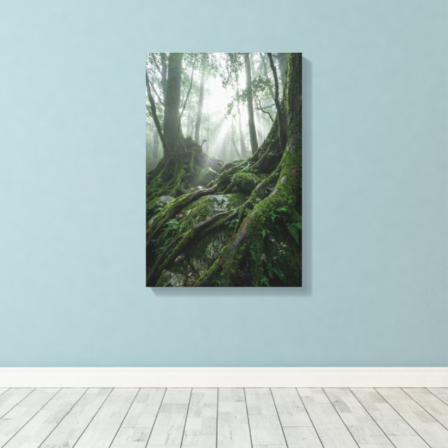 Yakushima 'Breath of Life' | Ancient Biophilic Leinwanddruck (Insitu (Holzboden))