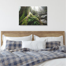 Yakushima Moss Forest 'Breath of Life' | Biophilic