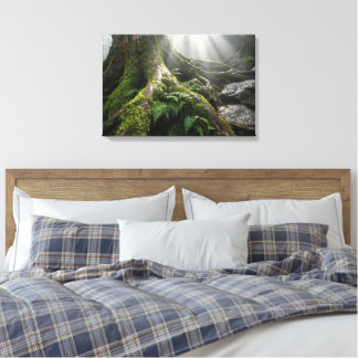 Yakushima Moss Forest 'Breath of Life' | Biophilic Leinwanddruck