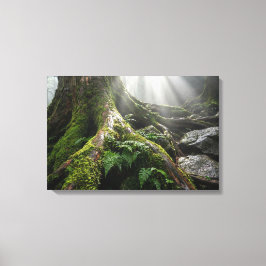 Yakushima Moss Forest 'Breath of Life' | Biophilic Leinwanddruck