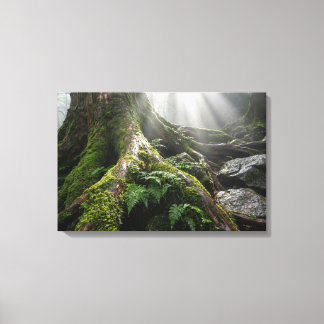 Yakushima Moss Forest 'Breath of Life' | Biophilic Leinwanddruck