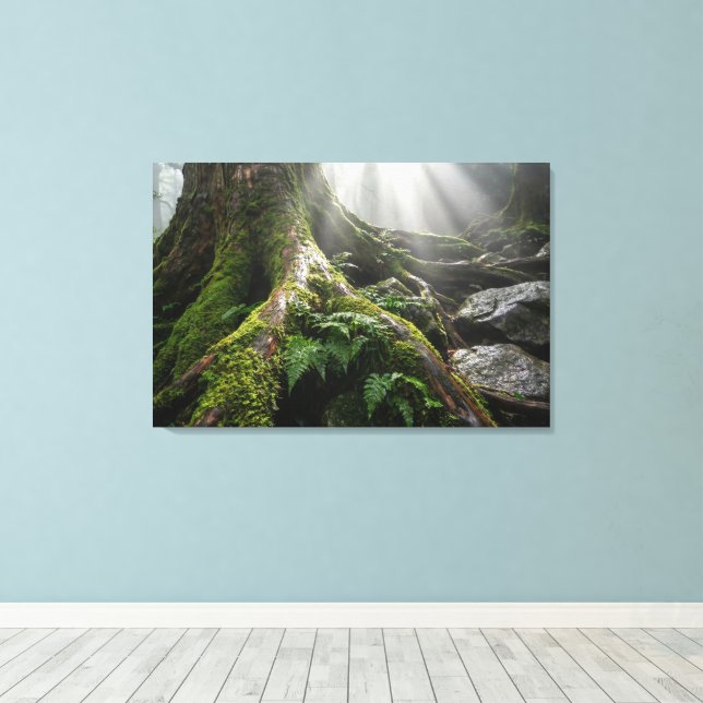 Yakushima Moss Forest 'Breath of Life' | Biophilic Leinwanddruck (Insitu (Holzboden))