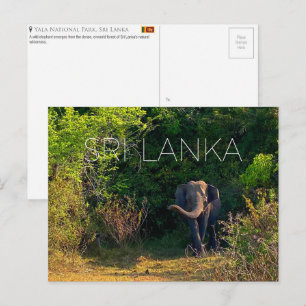 Yala Nationalpark, Sri Lanka Reise-Postkarte Postkarte