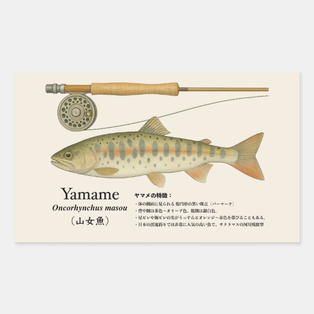 Yamame (Oncorhynchus masou) – Fish Illust Rechteckiger Aufkleber (Vorderseite)