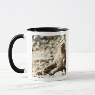 Yamanouchi, Chubu, Präfektur Nagano, Japan 2 Tasse