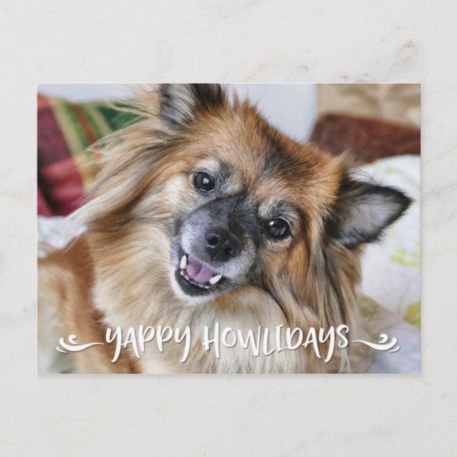 YAPPY HOWLIDAYS Wird Funny Dog Foto Feiertagspostkarte (Vorderseite)