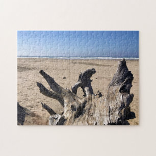 Yaquina Bay Staat Recreation Site, Newport, Oregon