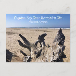 Yaquina Bay Staat Recreation Site, Newport, Oregon Postkarte