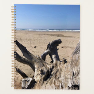 Yaquina Bay State Recrereation Site, Newport, Oreg