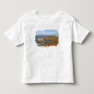 Yaquina Head Leuchtturm bei Newport Oregon Kleinkind T-shirt