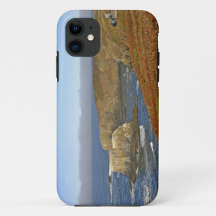 Yaquina Head Lighthouse in Newport Oregon Case-Mate iPhone Hülle