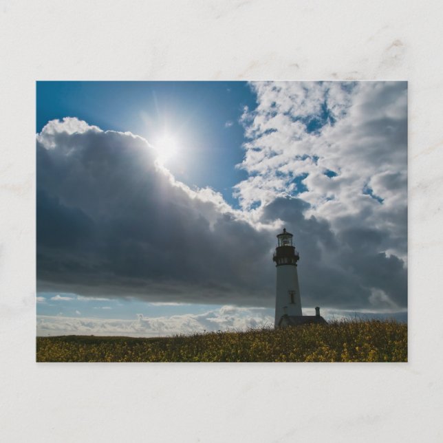 Yaquina Head Lighthouse Postkarte (Vorderseite)