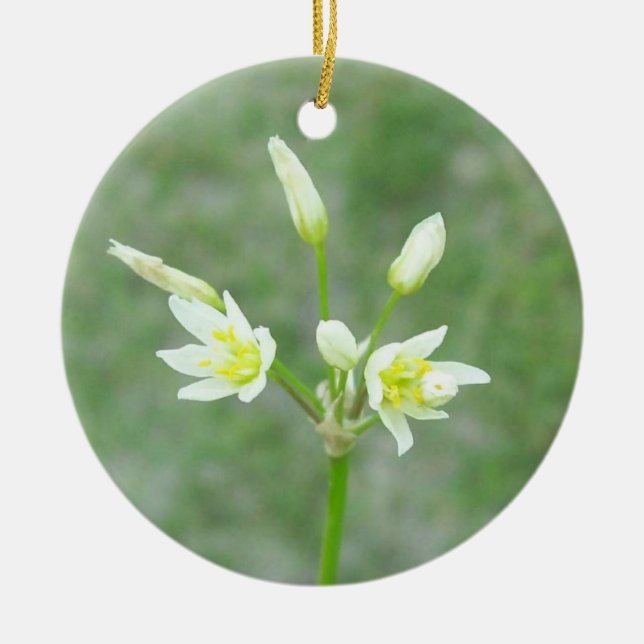Yard Blume Gedenkstätte Keramikornament (Vorne)