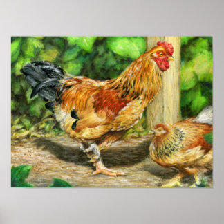 Yard Rooster and Chicken Poster