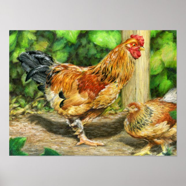 Yard Rooster and Chicken Poster (Vorne)