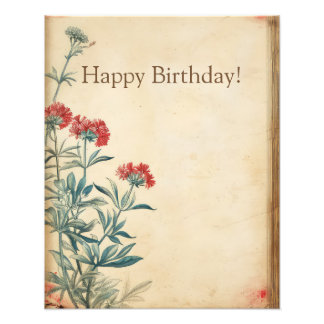 Yarrow Blume Illustration ephemere Fotodruck