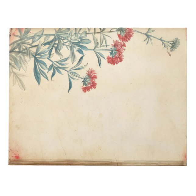 Yarrow Blume Illustration ephemere Notizblock (Vorderseite)