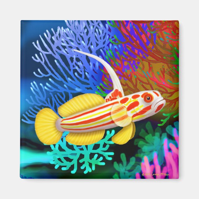 Yasha Hase Shrimp Goby Fish Magnet (Vorne)