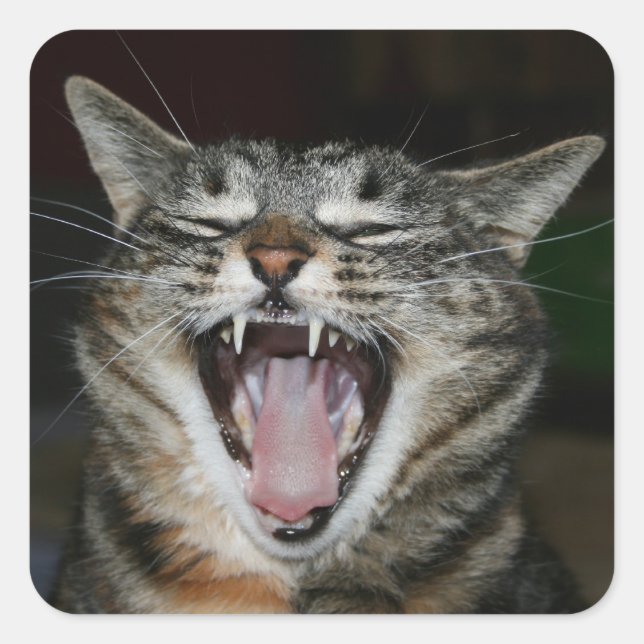 Yawner Sticker (Vorderseite)