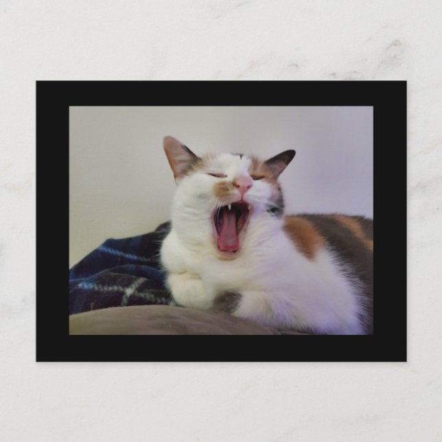 Yawning Calico Cat Postkarte (Vorderseite)