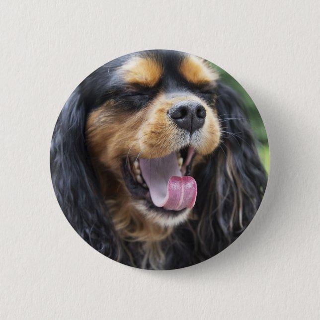 Yawning Cavalier King Charles Spaniel Button (Vorderseite)