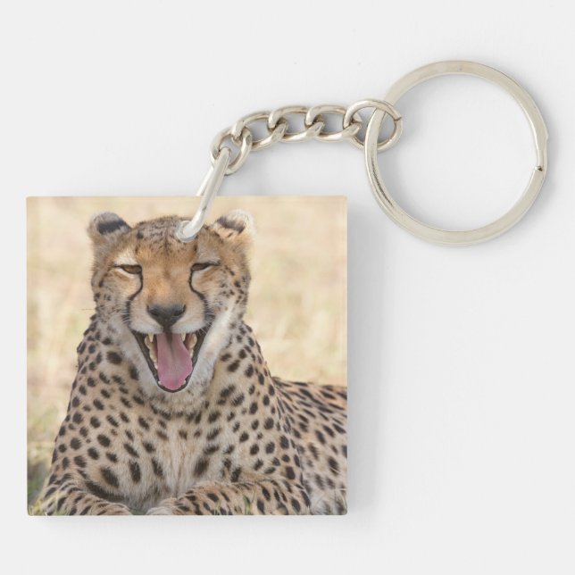 Yawning Cheetah (Dos)