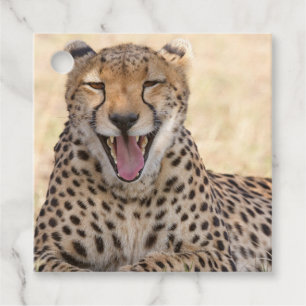 Yawning Cheetah Geschenkanhänger