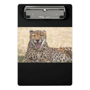 Yawning Cheetah Mini Klemmbrett