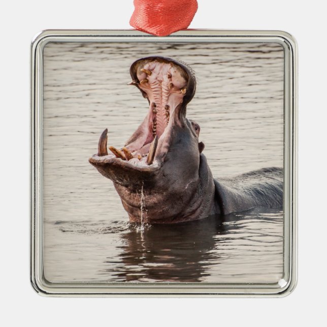 Yawning Hippo Ornament Aus Metall (Vorne)