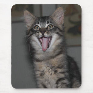 Yawning Kitten Mouse Pad Mousepad