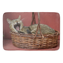 Yawning Kitty