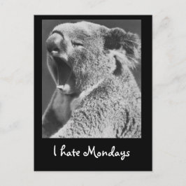 Yawning Koala Postkarte