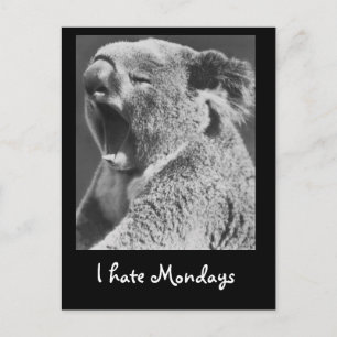 Yawning Koala Postkarte