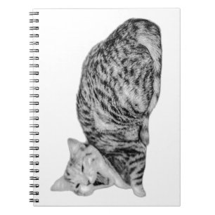 Yawning Tabby Cat Monochrome Notebook Notizblock