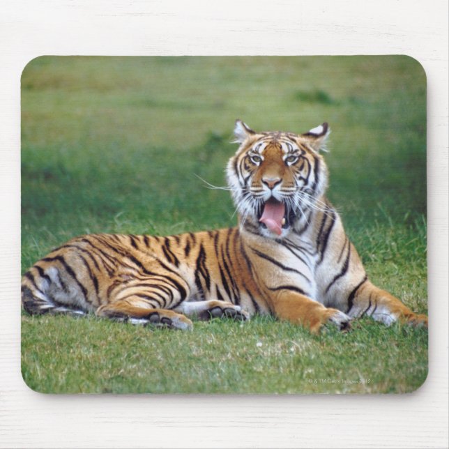 Yawning Tiger Mousepad (Vorne)