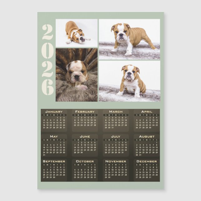 Year 2026 Calendar Dog Pet 4 Photo Collage Magnet (Devant)