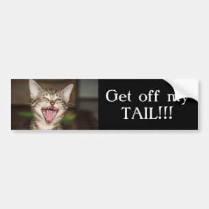 Yelling Cat Autoaufkleber