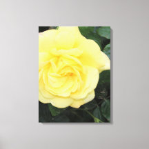 Yello-Rose