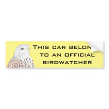 Yellow American Kestrel Birdwatcher Bumper Sticker