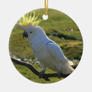 Yellow and White Cockatoo Parrot Keramikornament