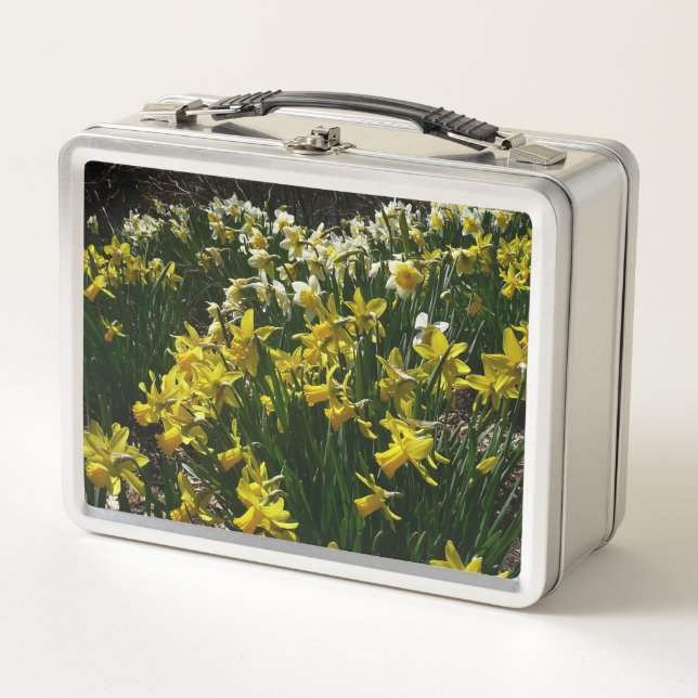 Yellow and White Daffodils Spring Flowers Metall Brotdose (Vorderseite)