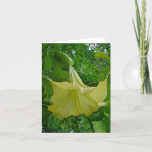 Yellow Angel's Trumpet Note Card Karte