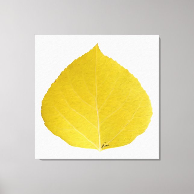 Yellow Aspen Leaf #5 Leinwanddruck (Vorderseite)